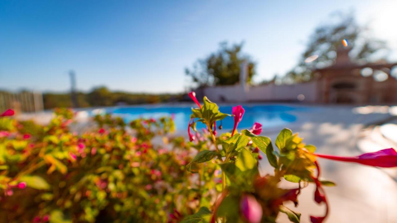 Villa Arton Heated Swimming-Pool Žminj Eksteriør billede